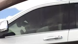 Виктория вокскс
