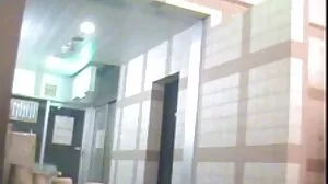 Извънземна лисица